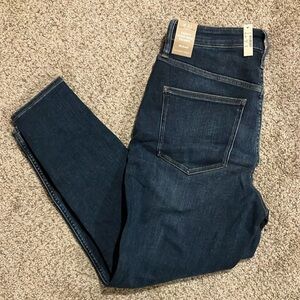 Madewell Curvy High Rise Skinny Jean